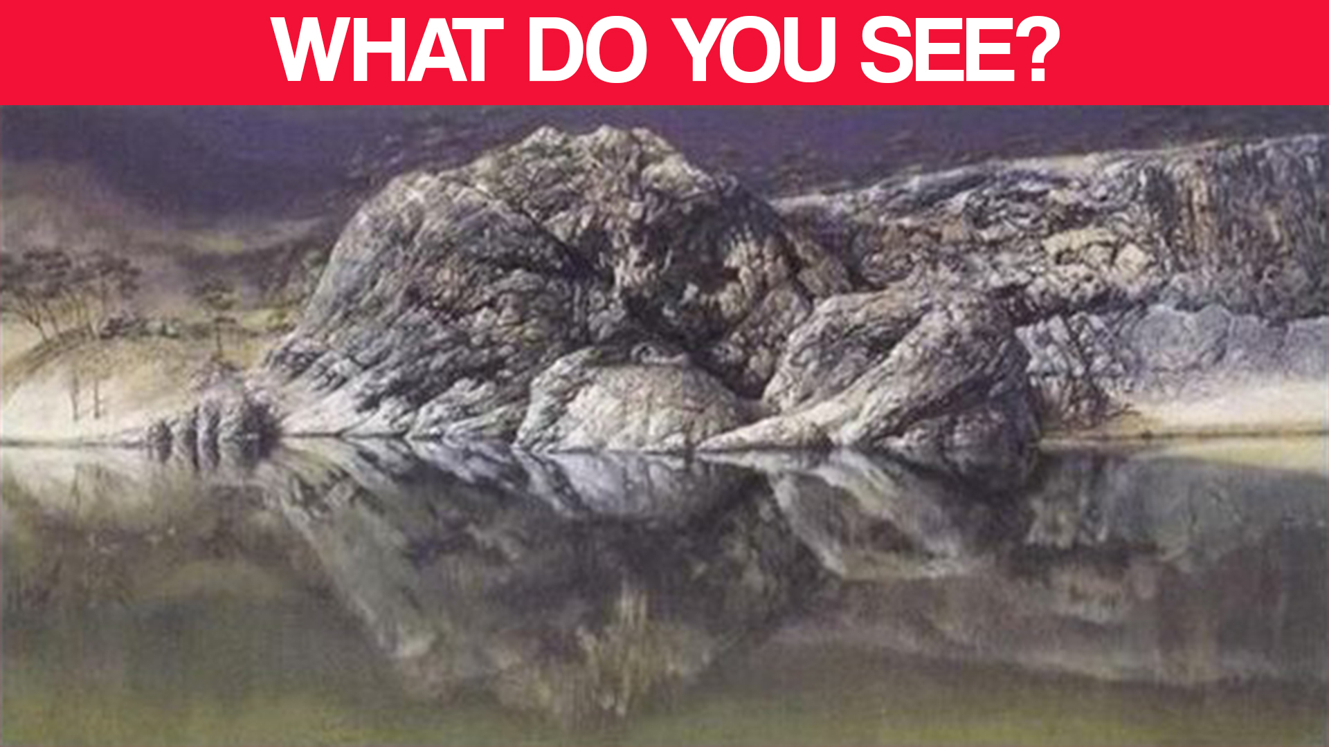 Optical Illusions What Do You See